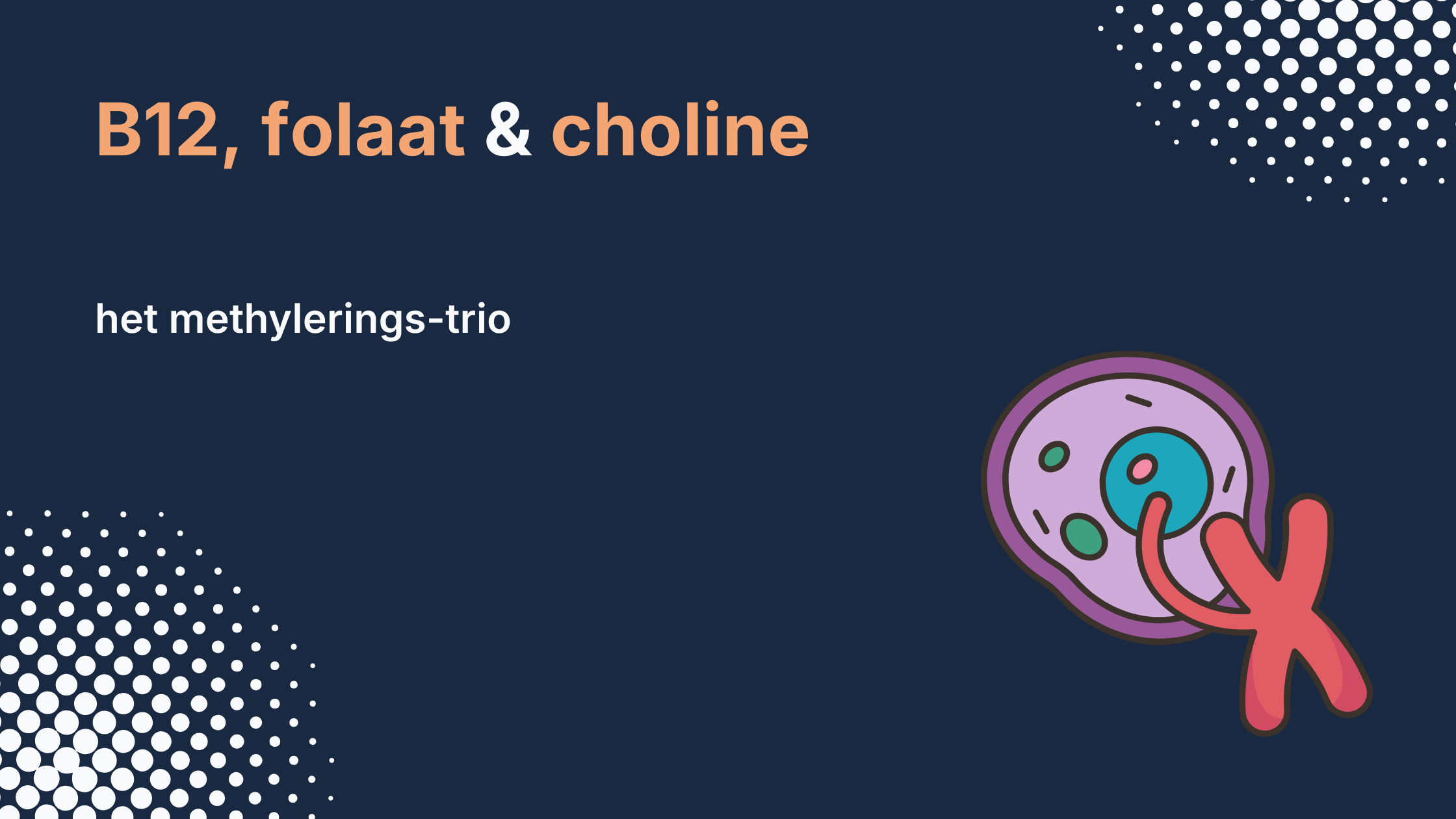 B12, folaat & choline: het methylerings-trio